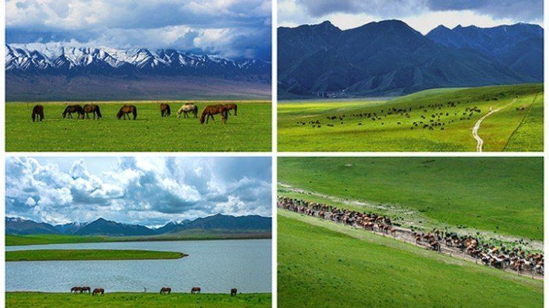 无人机双摄系统，画质与避障兼得-配图1
