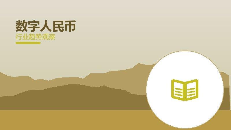 数字人民币经验总结，实践沉淀与方法论