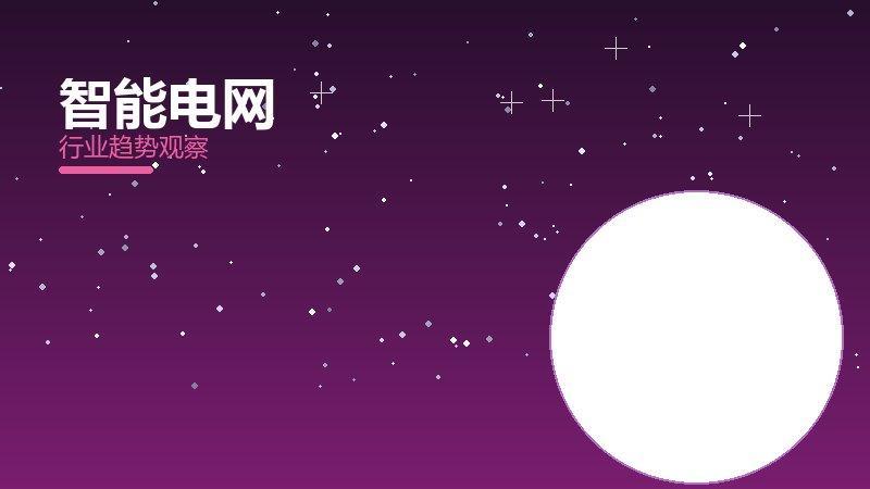 智能电网方法论，系统框架与操作步骤