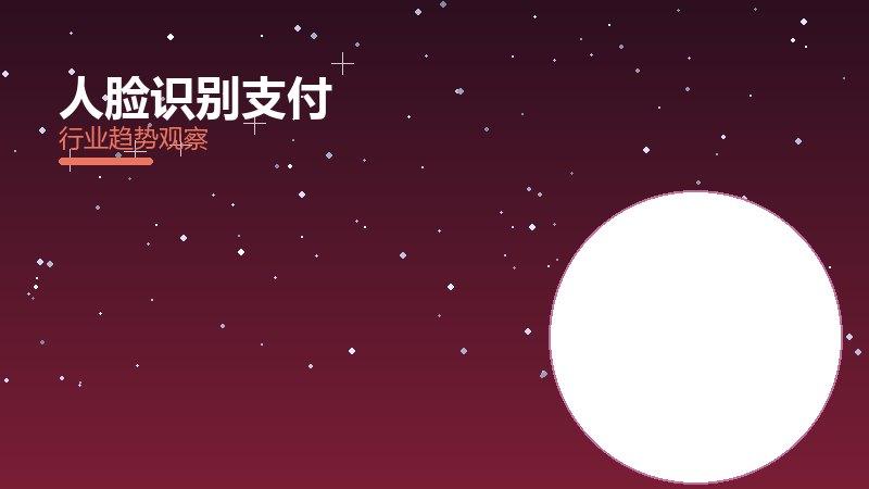 人脸识别支付踩坑记录，真实教训与避坑指南