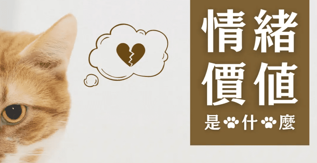 情緒價值​