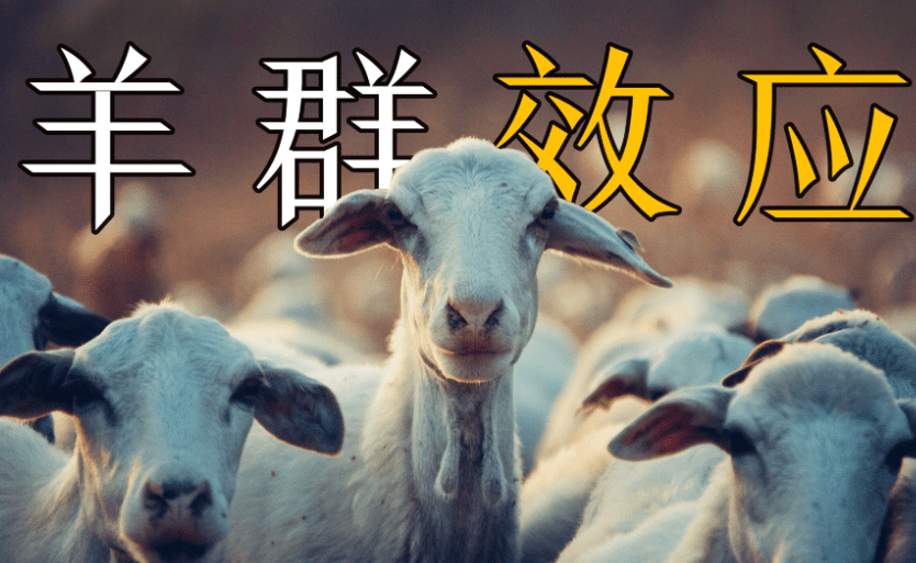 羊群效應​