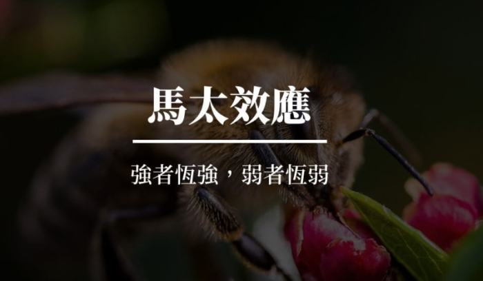 馬太效應