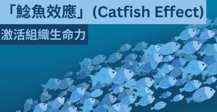鯰魚效應