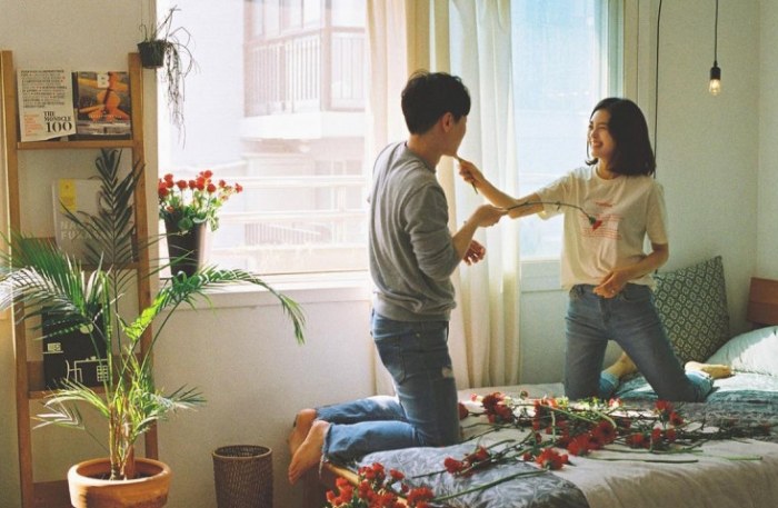柏拉圖式是什麼意思