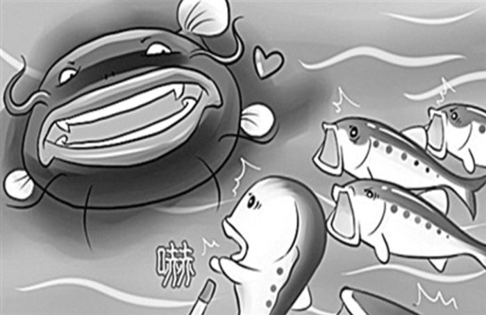 鯰魚效應愛情
