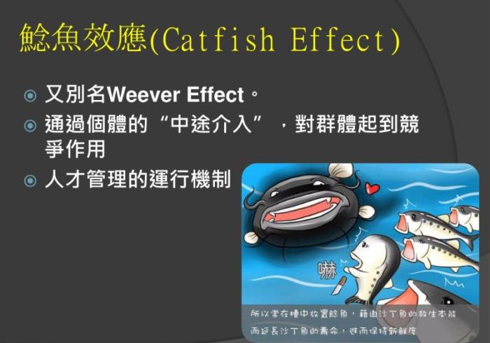 鯰魚效應例子