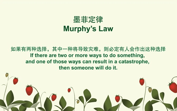 墨菲定律定義
