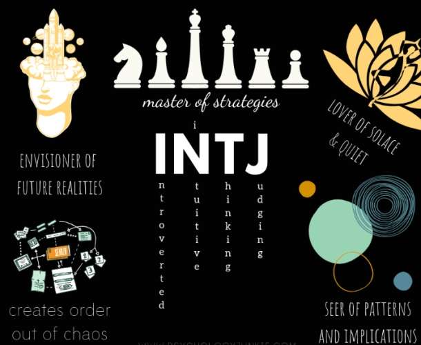 intj职业